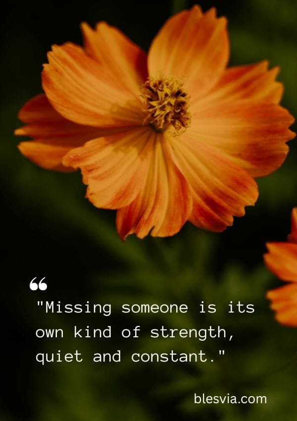Quotes About Strength Through Grief and Loss blesvia