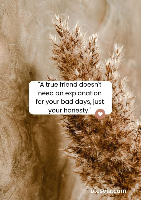 Quotes About True and Best Friends blesvia