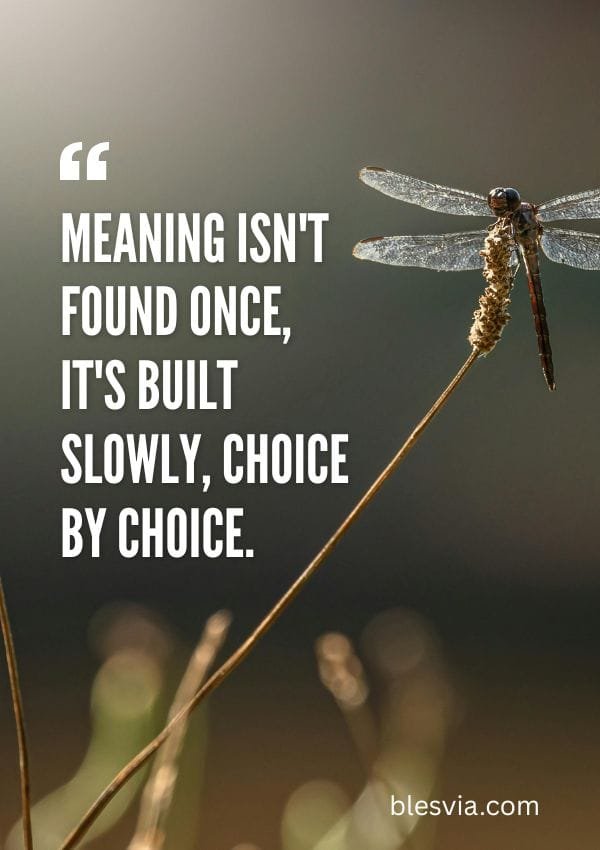 Quotes About the Meaning of Life blesvia