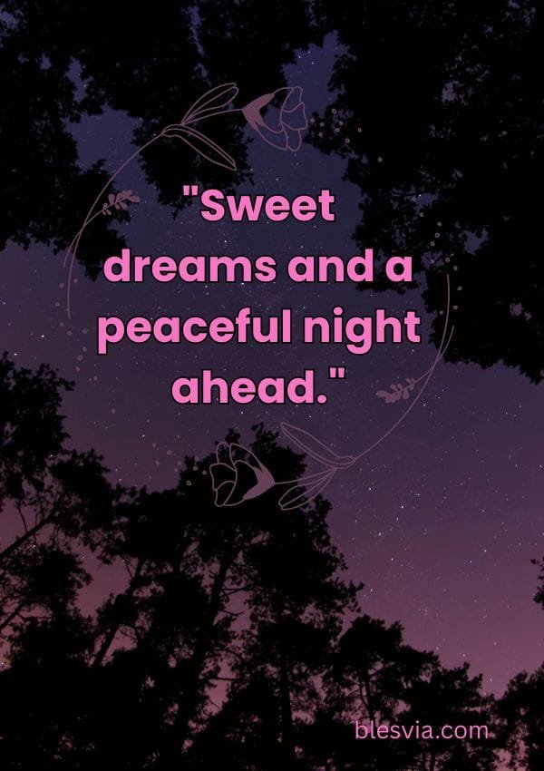 Short Good Night Quotes for a Quick Message blesvia