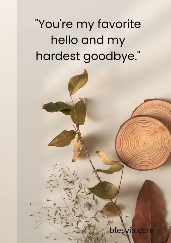 Short Love Quotes for a Quick, Heartfelt Message blesvia