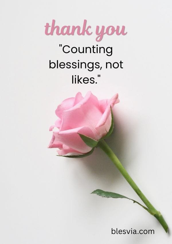 Short Thankful Quotes Perfect for Instagram Captions blesvia