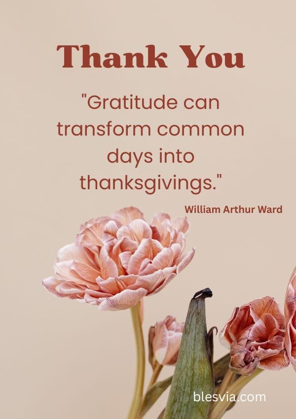 Thankful Quotes About Life Blessings blesvia