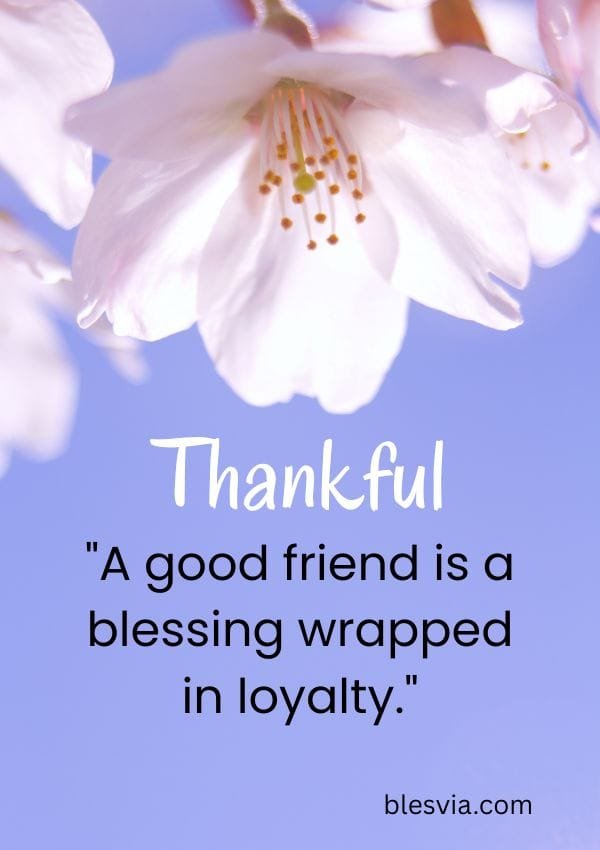 Thankful Quotes for Family and Friends blesvia
