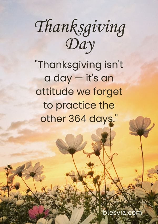 Thankful Quotes for Thanksgiving Day blesvia