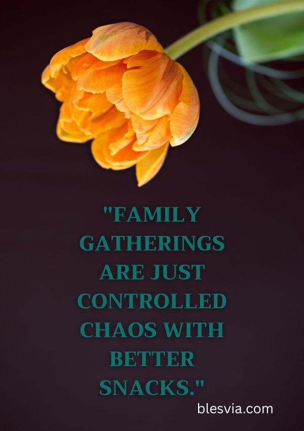 Funny Quotes About Family blesvia