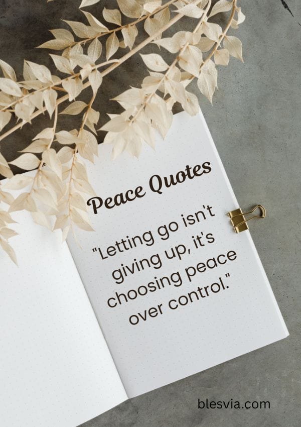 Peace Quotes to Calm Your Mind and Settle Your Heart blesvia title image