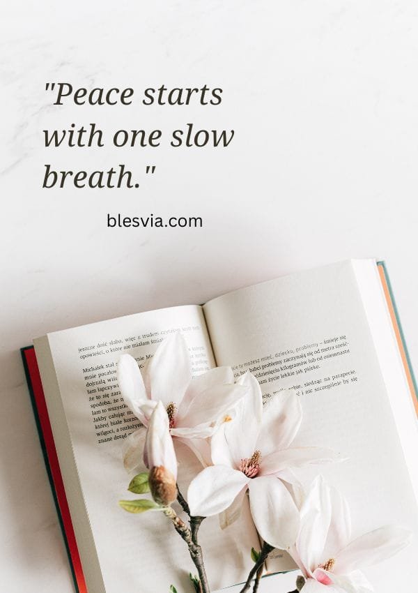 Short Peace Quotes for an Overwhelmed Moment blesvia